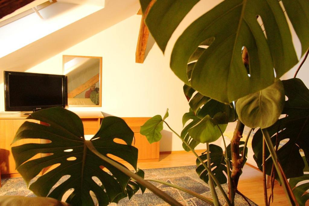 Penzion Brahama Prešov Kamer foto