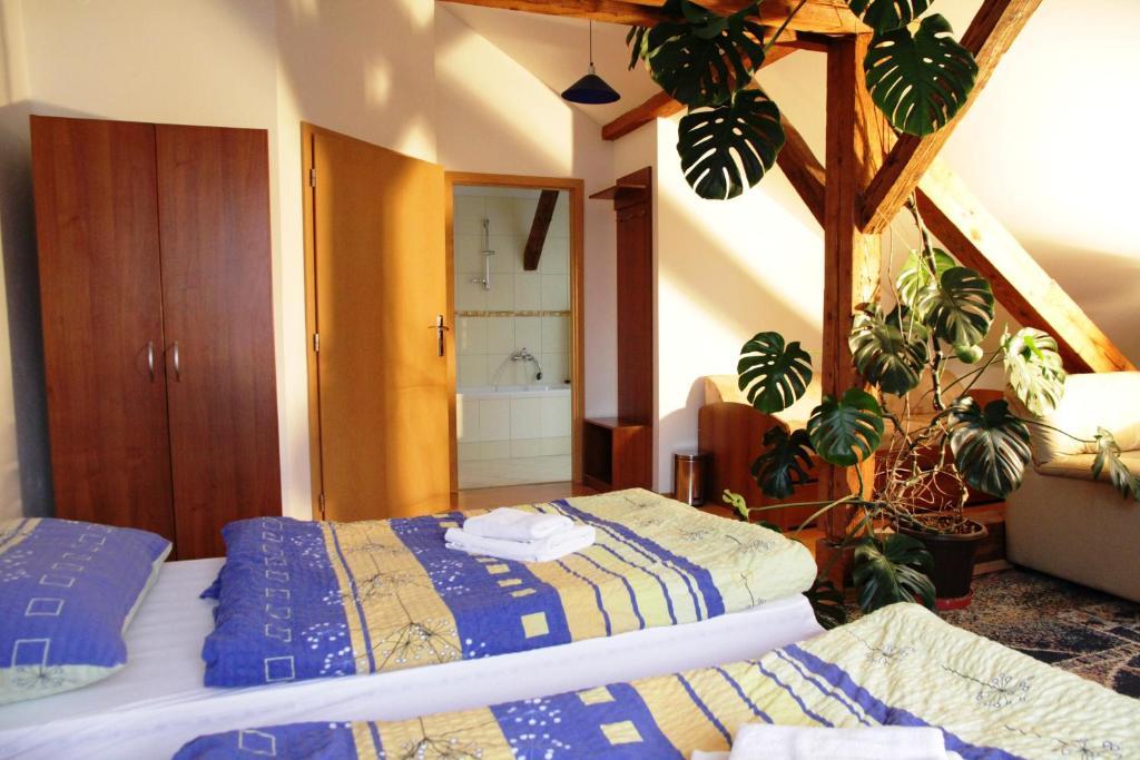 Penzion Brahama Prešov Kamer foto